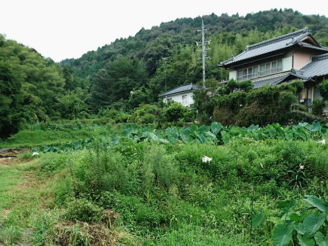 神田農園
